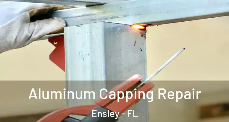 Aluminum Capping Repair Ensley - FL