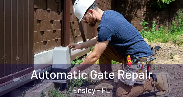 Automatic Gate Repair Ensley - FL