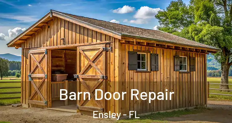 Barn Door Repair Ensley - FL