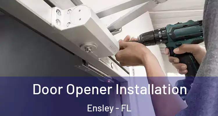 Door Opener Installation Ensley - FL