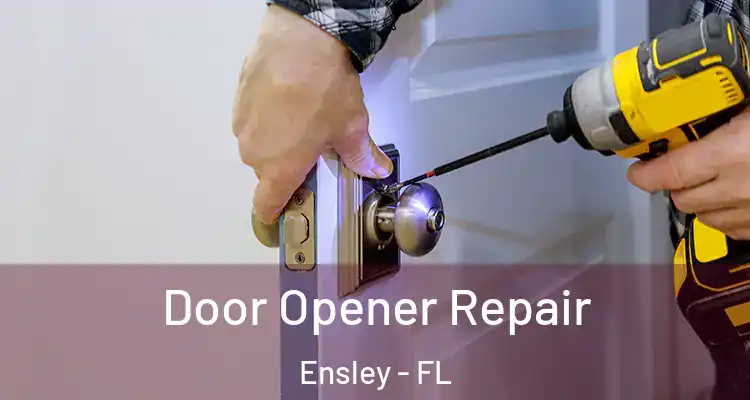 Door Opener Repair Ensley - FL