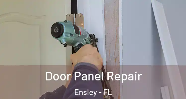 Door Panel Repair Ensley - FL