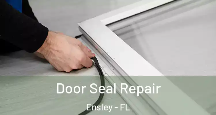 Door Seal Repair Ensley - FL