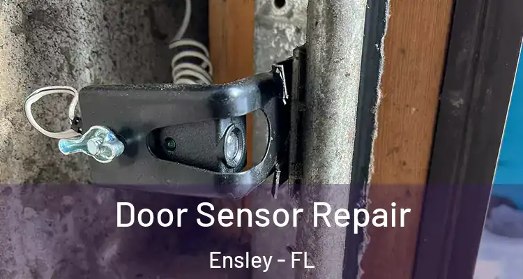 Door Sensor Repair Ensley - FL