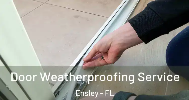 Door Weatherproofing Service Ensley - FL
