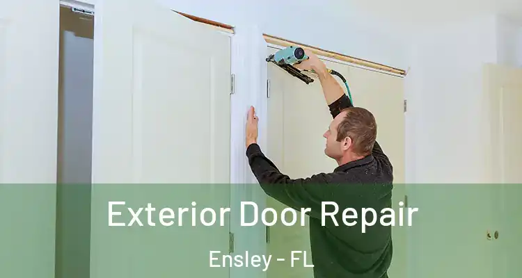 Exterior Door Repair Ensley - FL