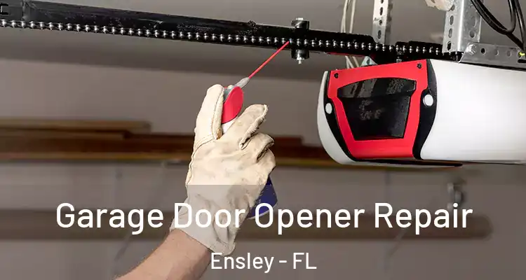 Garage Door Opener Repair Ensley - FL