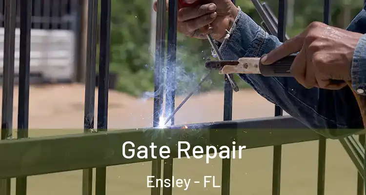 Gate Repair Ensley - FL