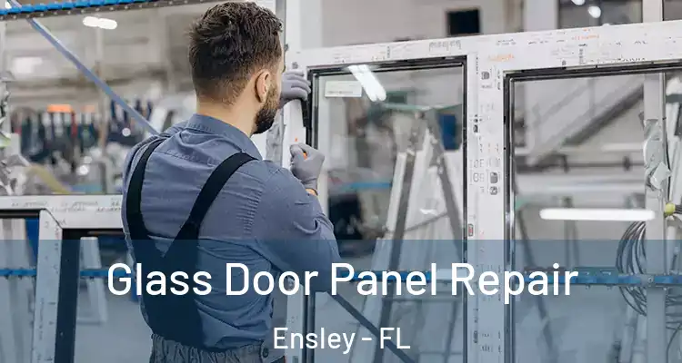 Glass Door Panel Repair Ensley - FL