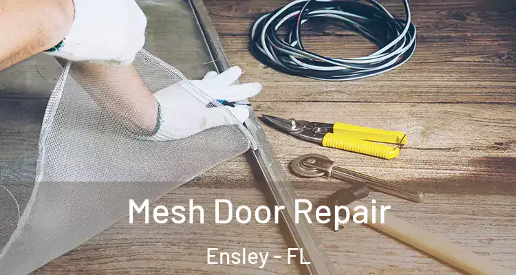 Mesh Door Repair Ensley - FL
