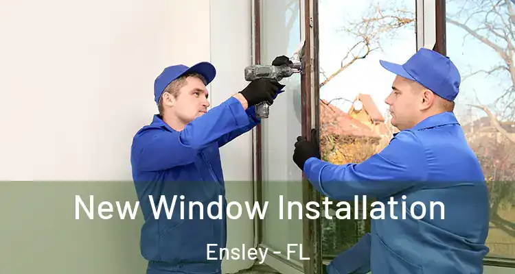 New Window Installation Ensley - FL