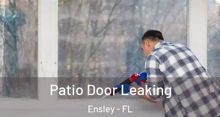 Patio Door Leaking Ensley - FL