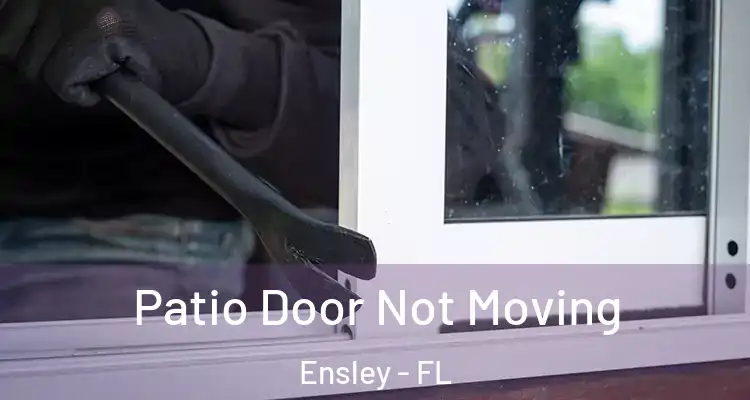 Patio Door Not Moving Ensley - FL