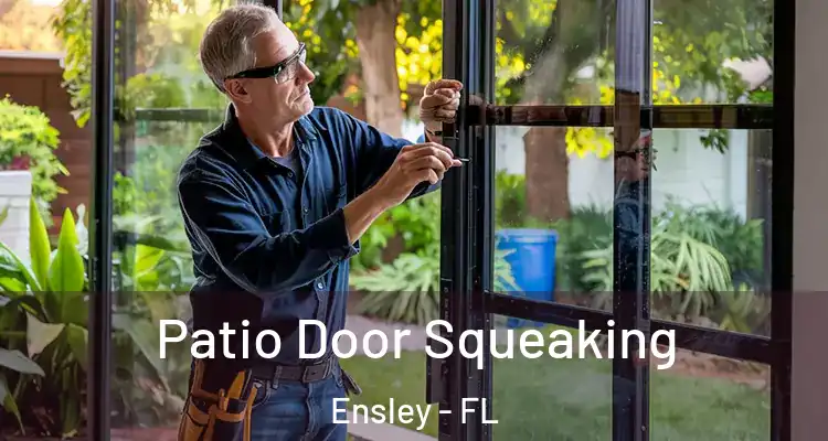 Patio Door Squeaking Ensley - FL