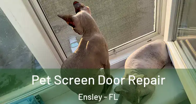 Pet Screen Door Repair Ensley - FL