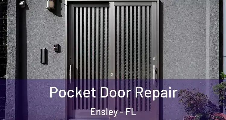 Pocket Door Repair Ensley - FL