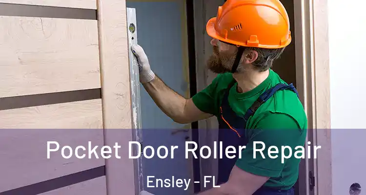 Pocket Door Roller Repair Ensley - FL