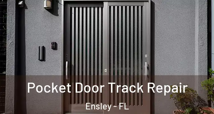 Pocket Door Track Repair Ensley - FL