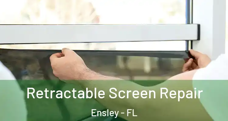 Retractable Screen Repair Ensley - FL
