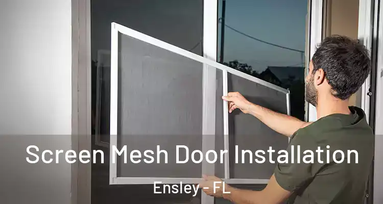 Screen Mesh Door Installation Ensley - FL