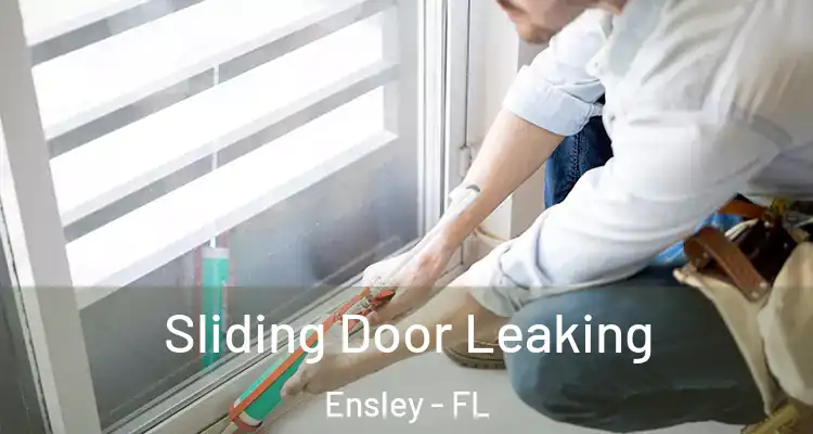 Sliding Door Leaking Ensley - FL