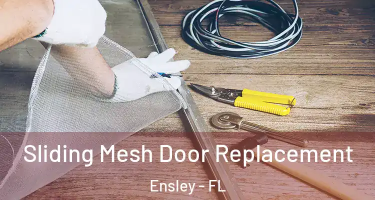 Sliding Mesh Door Replacement Ensley - FL