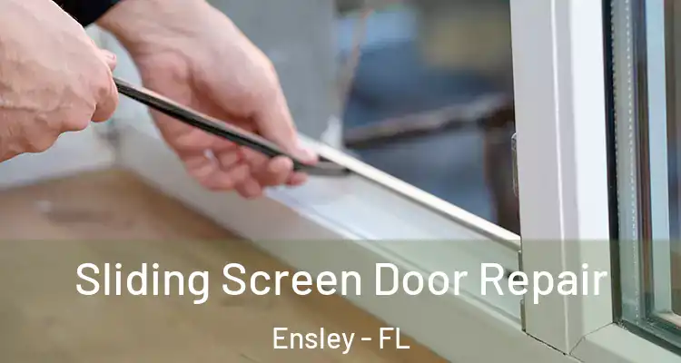 Sliding Screen Door Repair Ensley - FL