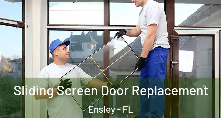 Sliding Screen Door Replacement Ensley - FL