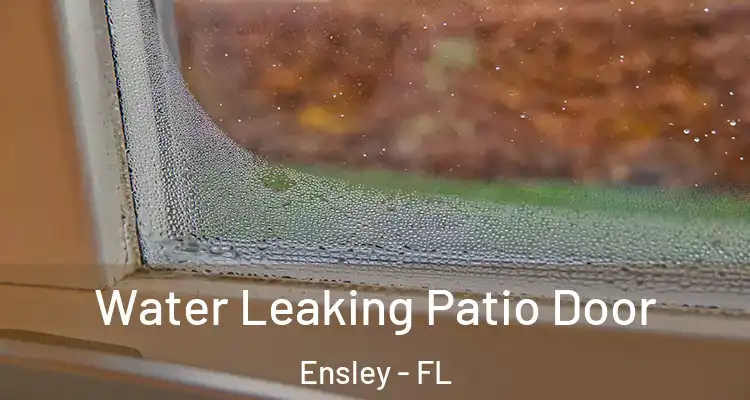 Water Leaking Patio Door Ensley - FL