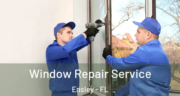 Window Repair Service Ensley - FL