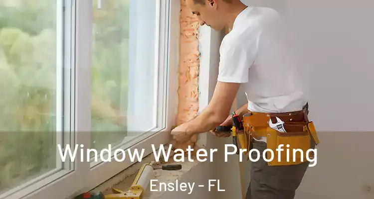 Window Water Proofing Ensley - FL